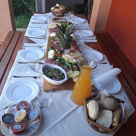 Amaryllis Novigrad Istria